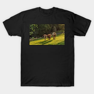 Cattle at Sunset T-Shirt